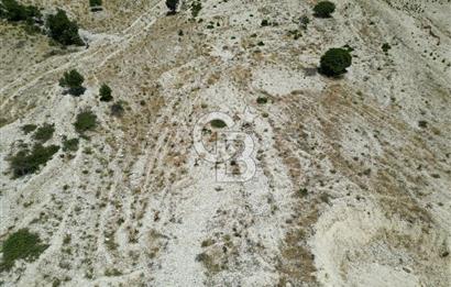 GERMENICIA'DAN ŞEHİR MERKEZİNE YAKIN HARİKA MANZARALI SATILIK BAĞ