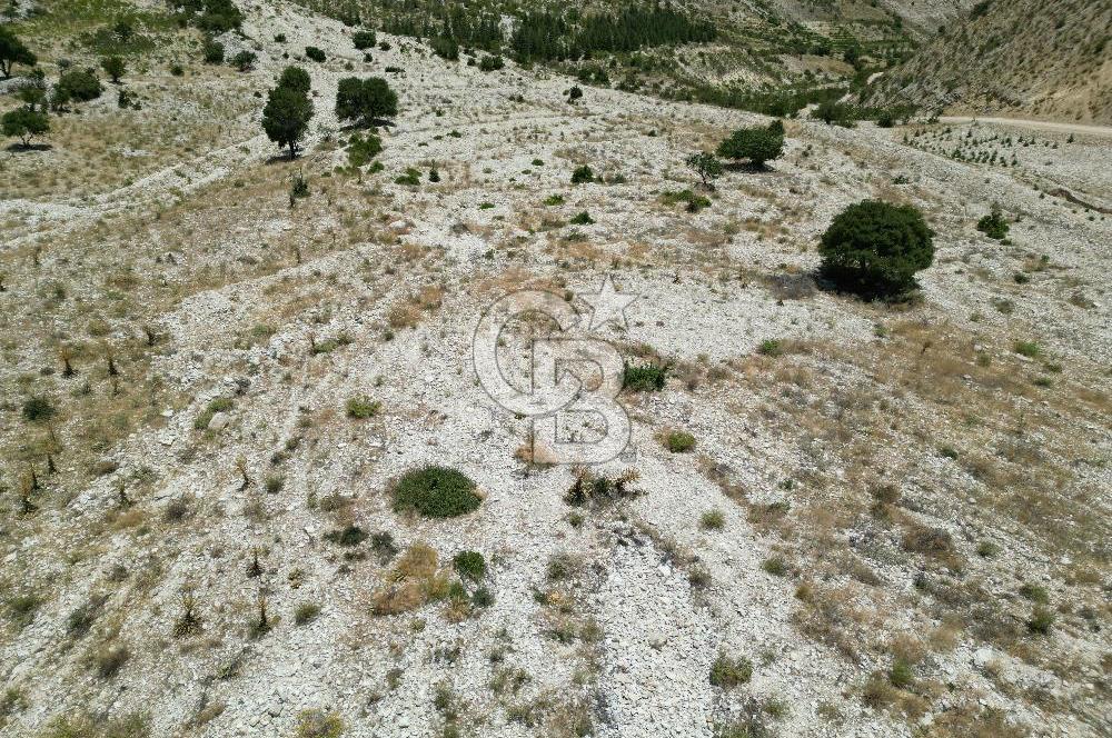 GERMENICIA'DAN ŞEHİR MERKEZİNE YAKIN HARİKA MANZARALI SATILIK BAĞ