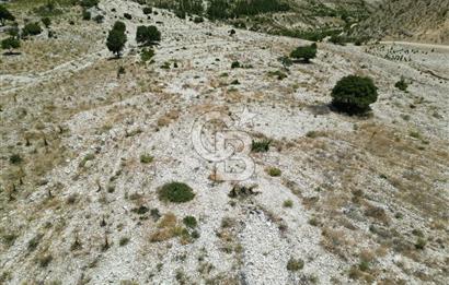 GERMENICIA'DAN ŞEHİR MERKEZİNE YAKIN HARİKA MANZARALI SATILIK BAĞ