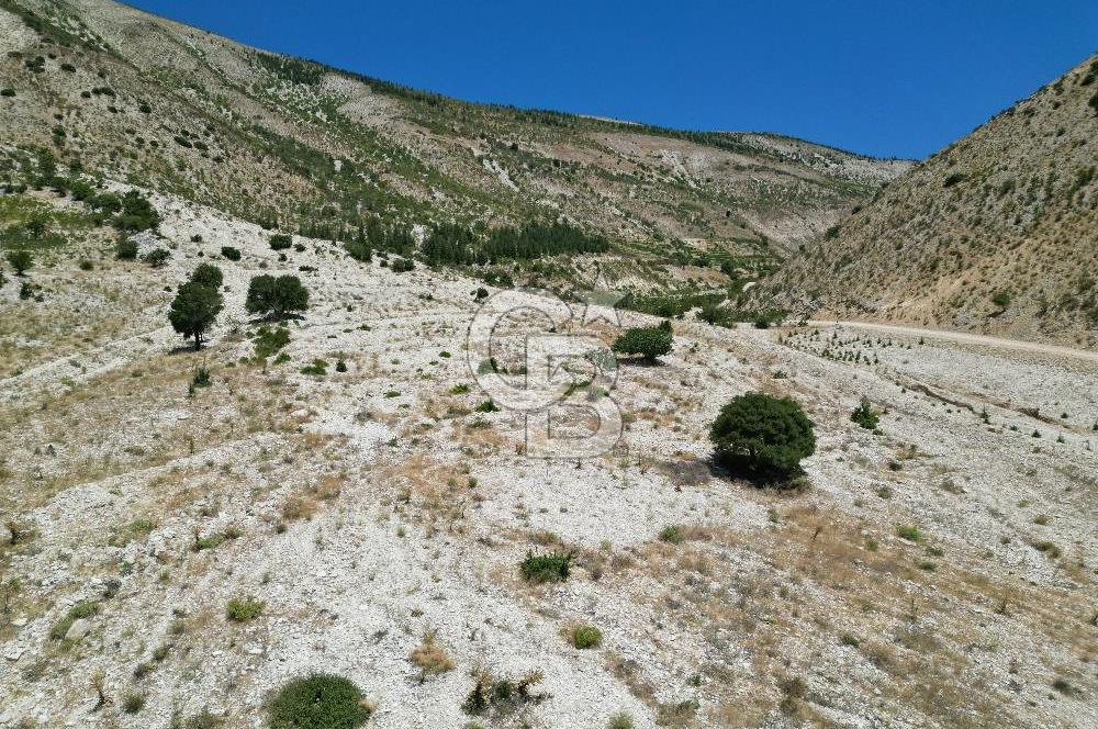 GERMENICIA'DAN ŞEHİR MERKEZİNE YAKIN HARİKA MANZARALI SATILIK BAĞ