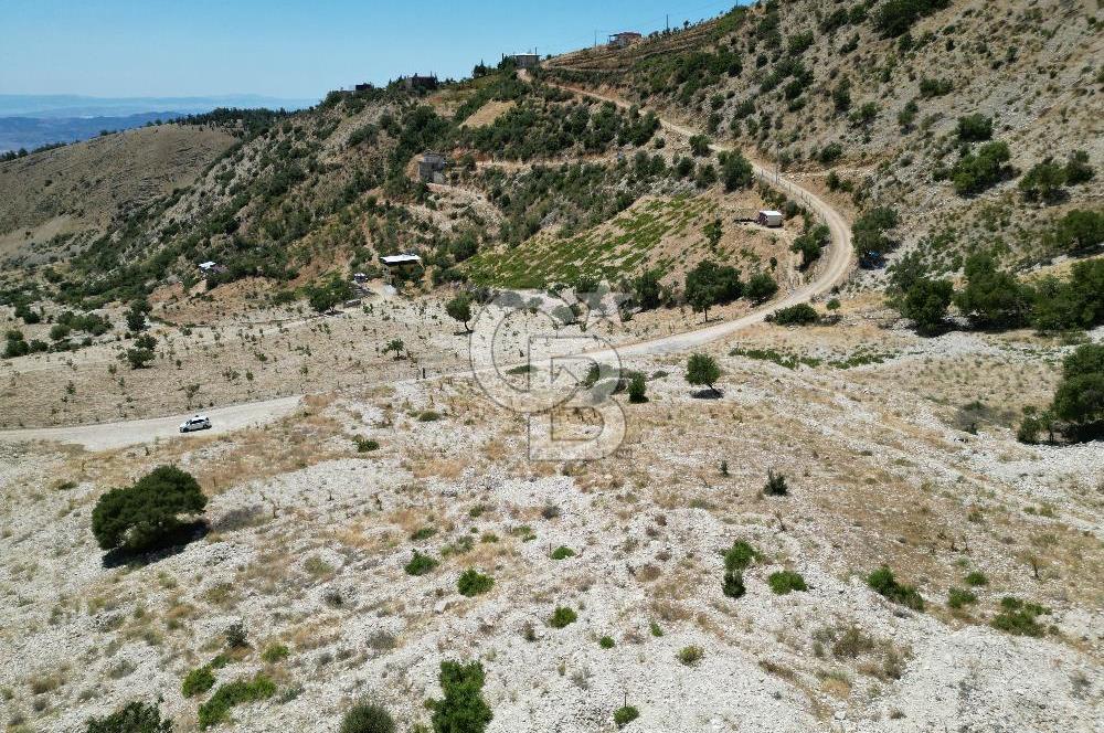 GERMENICIA'DAN ŞEHİR MERKEZİNE YAKIN HARİKA MANZARALI SATILIK BAĞ