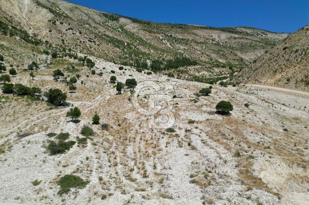 GERMENICIA'DAN ŞEHİR MERKEZİNE YAKIN HARİKA MANZARALI SATILIK BAĞ