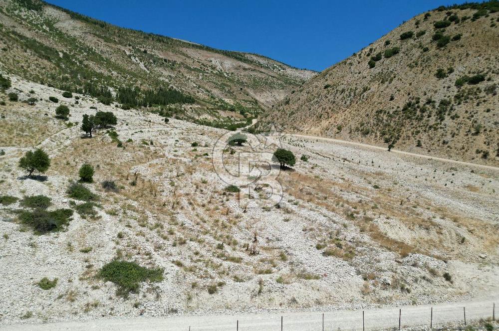 GERMENICIA'DAN ŞEHİR MERKEZİNE YAKIN HARİKA MANZARALI SATILIK BAĞ