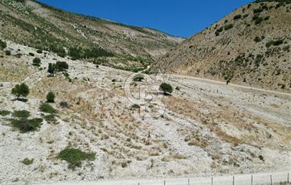 GERMENICIA'DAN ŞEHİR MERKEZİNE YAKIN HARİKA MANZARALI SATILIK BAĞ