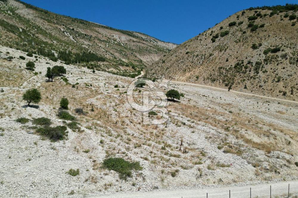 GERMENICIA'DAN ŞEHİR MERKEZİNE YAKIN HARİKA MANZARALI SATILIK BAĞ