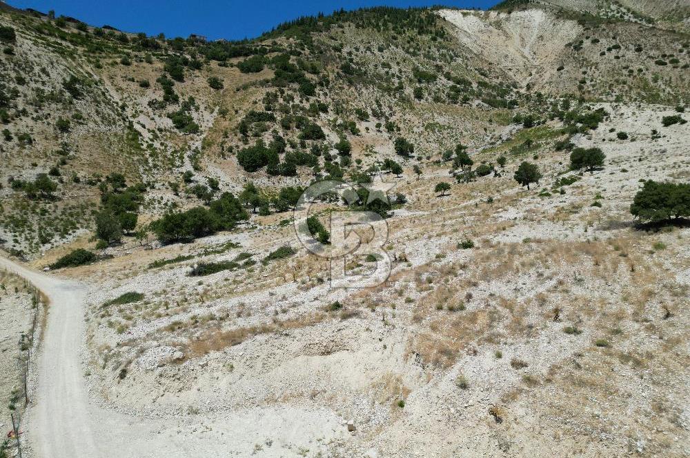 GERMENICIA'DAN ŞEHİR MERKEZİNE YAKIN HARİKA MANZARALI SATILIK BAĞ