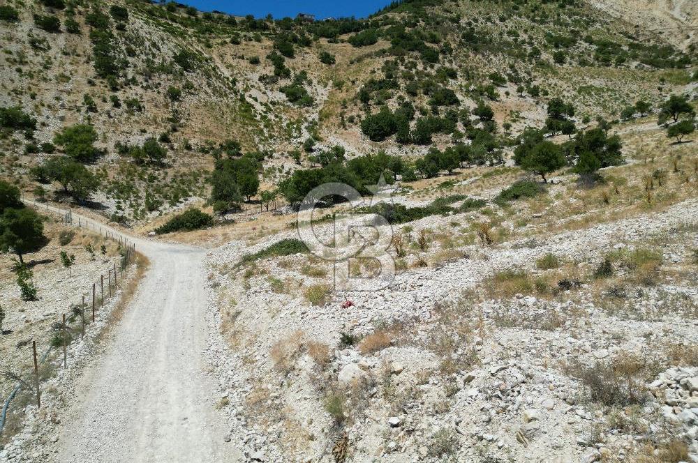 GERMENICIA'DAN ŞEHİR MERKEZİNE YAKIN HARİKA MANZARALI SATILIK BAĞ