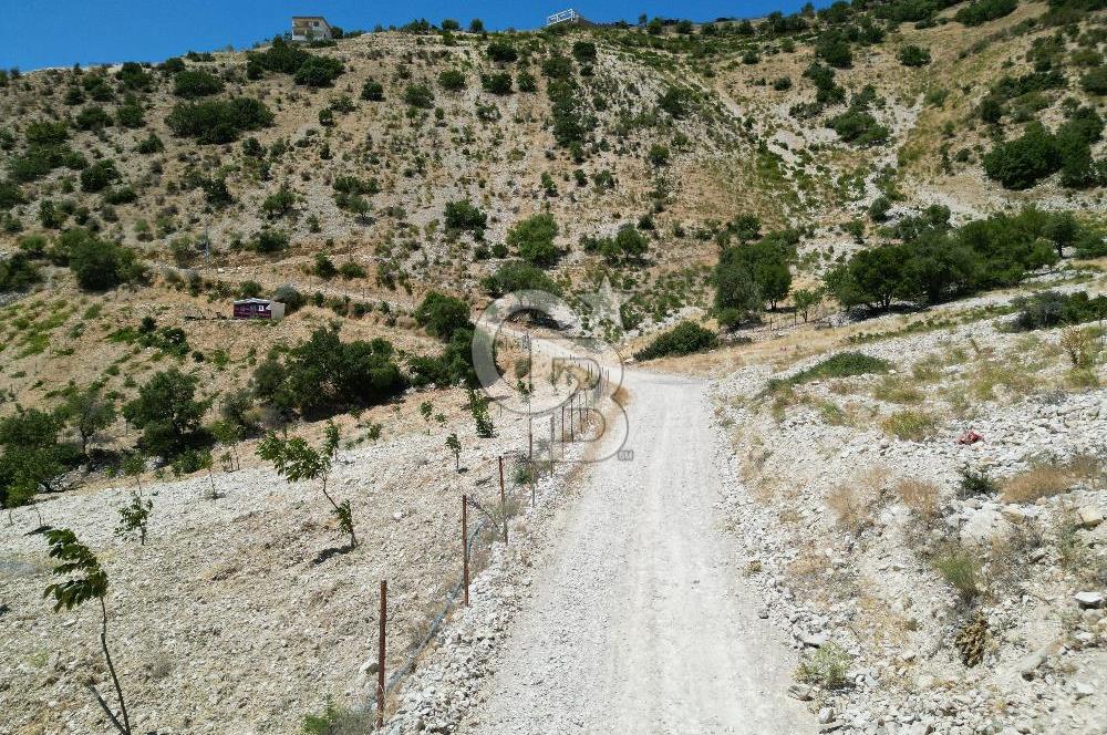 GERMENICIA'DAN ŞEHİR MERKEZİNE YAKIN HARİKA MANZARALI SATILIK BAĞ