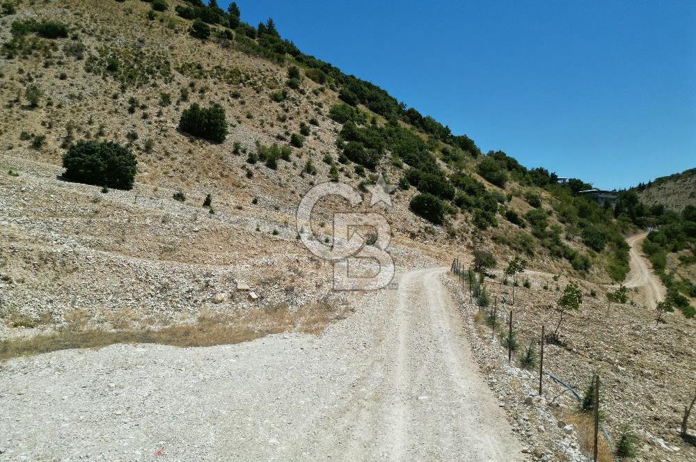 GERMENICIA'DAN ŞEHİR MERKEZİNE YAKIN HARİKA MANZARALI SATILIK BAĞ