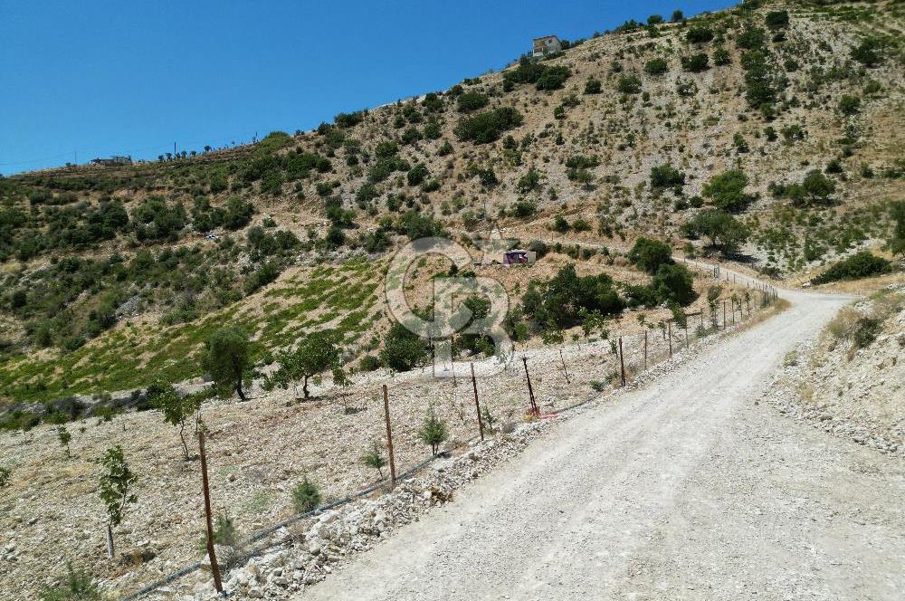 GERMENICIA'DAN ŞEHİR MERKEZİNE YAKIN HARİKA MANZARALI SATILIK BAĞ