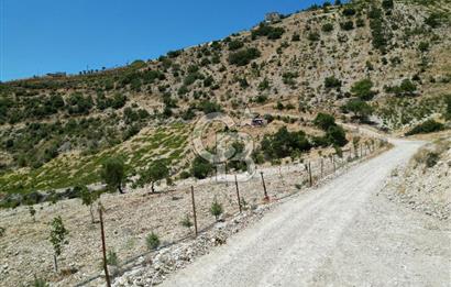 GERMENICIA'DAN ŞEHİR MERKEZİNE YAKIN HARİKA MANZARALI SATILIK BAĞ