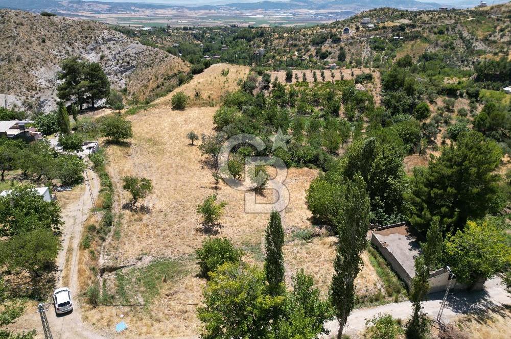 GERMENICIADAN DEREKÖY'DE MUHTEŞEM MANZARALI SATILIK BAĞ & BAHÇE