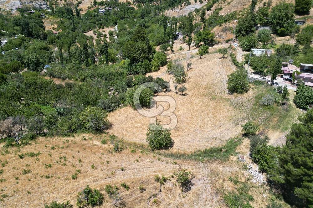 GERMENICIADAN DEREKÖY'DE MUHTEŞEM MANZARALI SATILIK BAĞ & BAHÇE