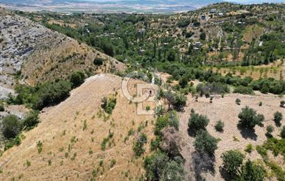 GERMENICIADAN DEREKÖY'DE MUHTEŞEM MANZARALI SATILIK BAĞ & BAHÇE