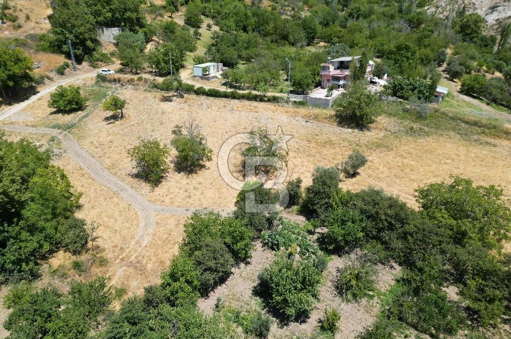 GERMENICIADAN DEREKÖY'DE MUHTEŞEM MANZARALI SATILIK BAĞ & BAHÇE