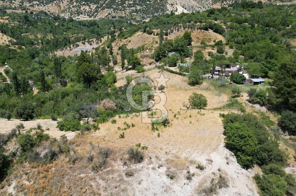 GERMENICIADAN DEREKÖY'DE MUHTEŞEM MANZARALI SATILIK BAĞ & BAHÇE