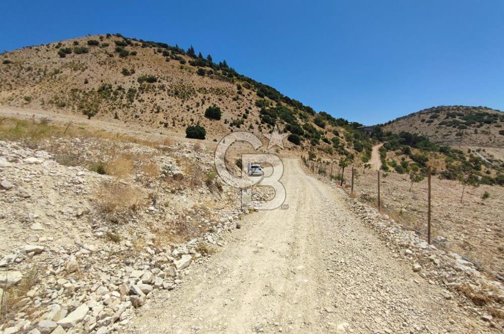 GERMENICIA'DAN ŞEHİR MERKEZİNE YAKIN HARİKA MANZARALI SATILIK BAĞ