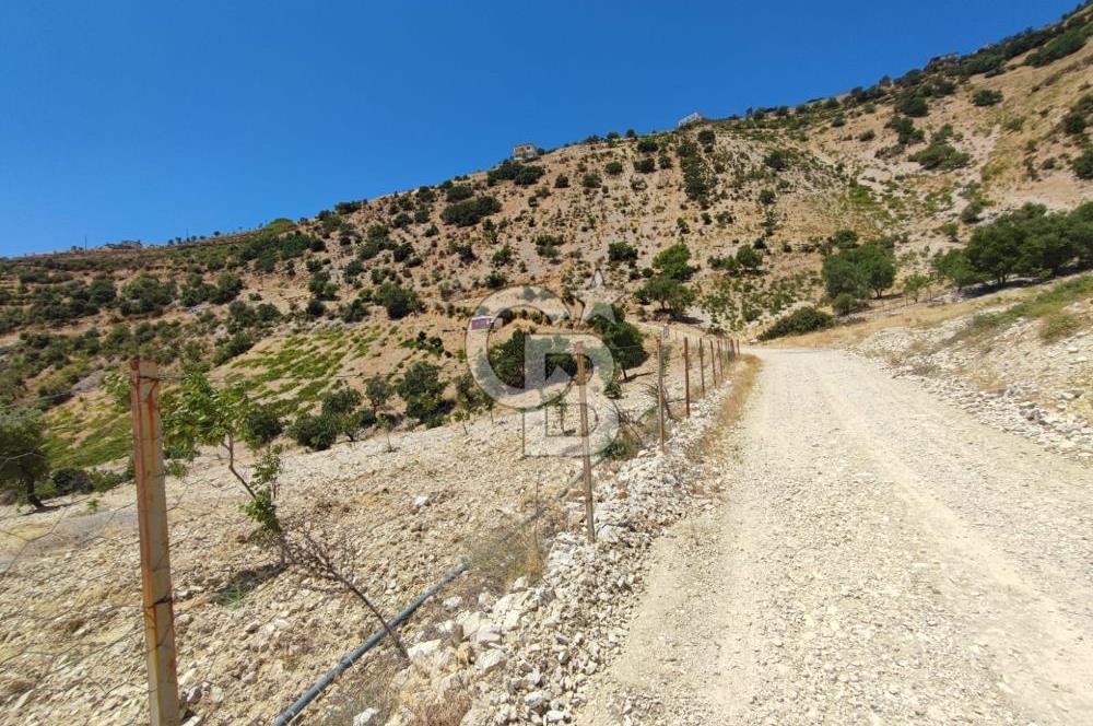 GERMENICIA'DAN ŞEHİR MERKEZİNE YAKIN HARİKA MANZARALI SATILIK BAĞ