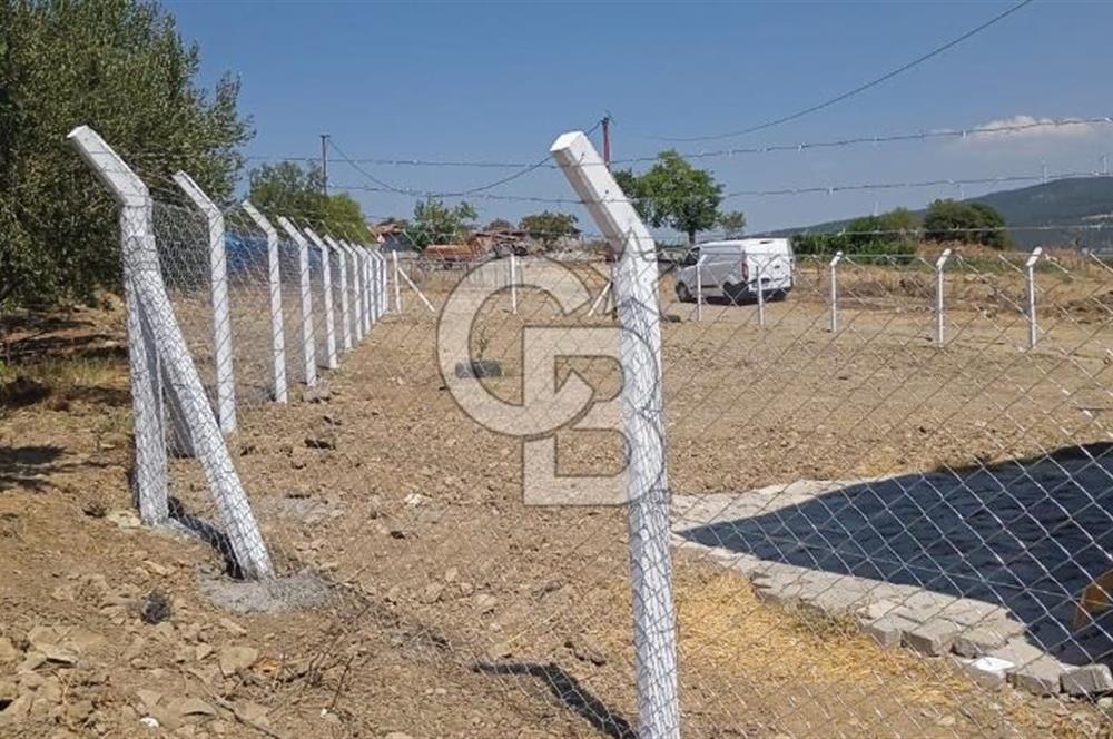 İzmir Kınık Karatekeli'de 538m2 Ham Toprak ARSA