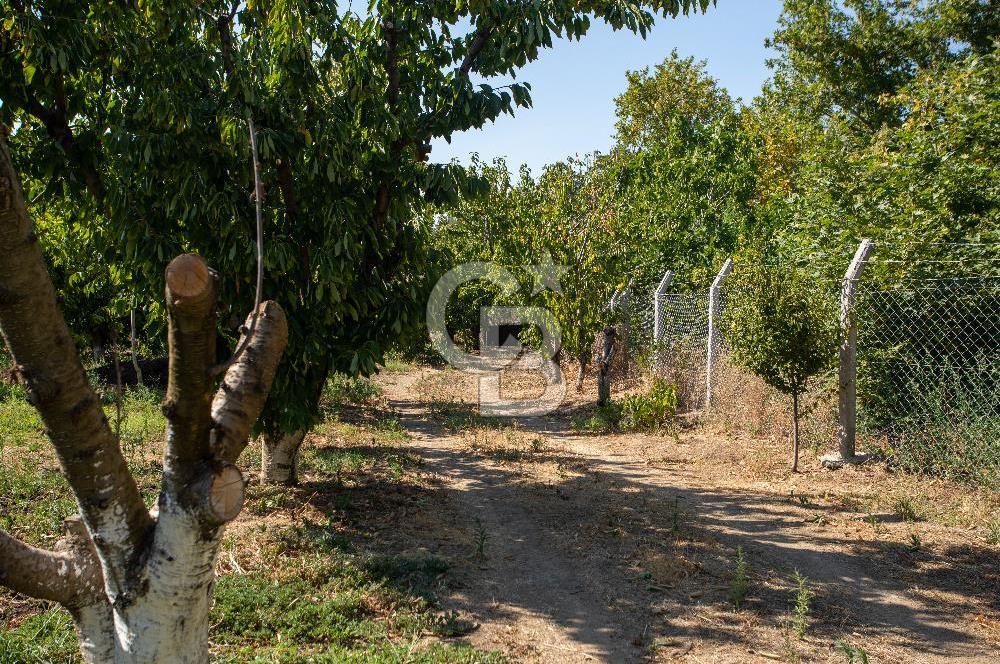 KEMELPAŞA SİNANCILAR SATILIK MÜSTAKİL PARSEL