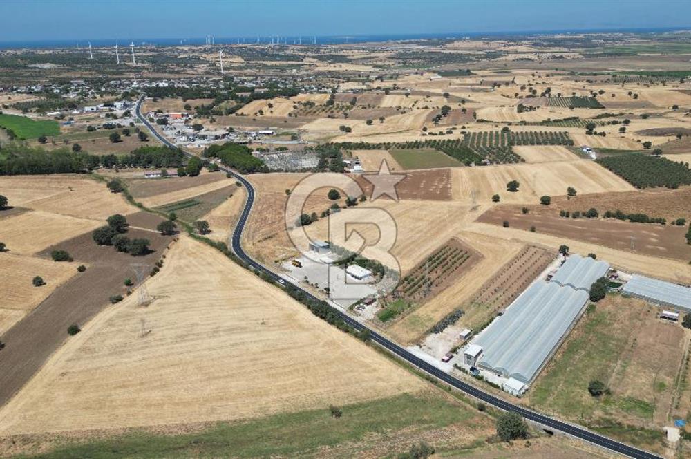 Çanakkale Ezine Mahmudiye Köyünde Asfalt Yol Cepheli Tarla