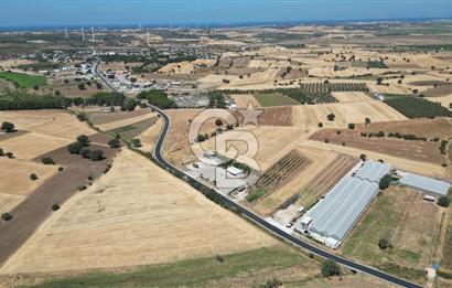 Çanakkale Ezine Mahmudiye Köyünde Asfalt Yol Cepheli Tarla