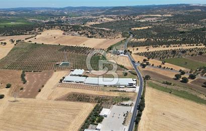 Çanakkale Ezine Mahmudiye Köyünde Asfalt Yol Cepheli Tarla