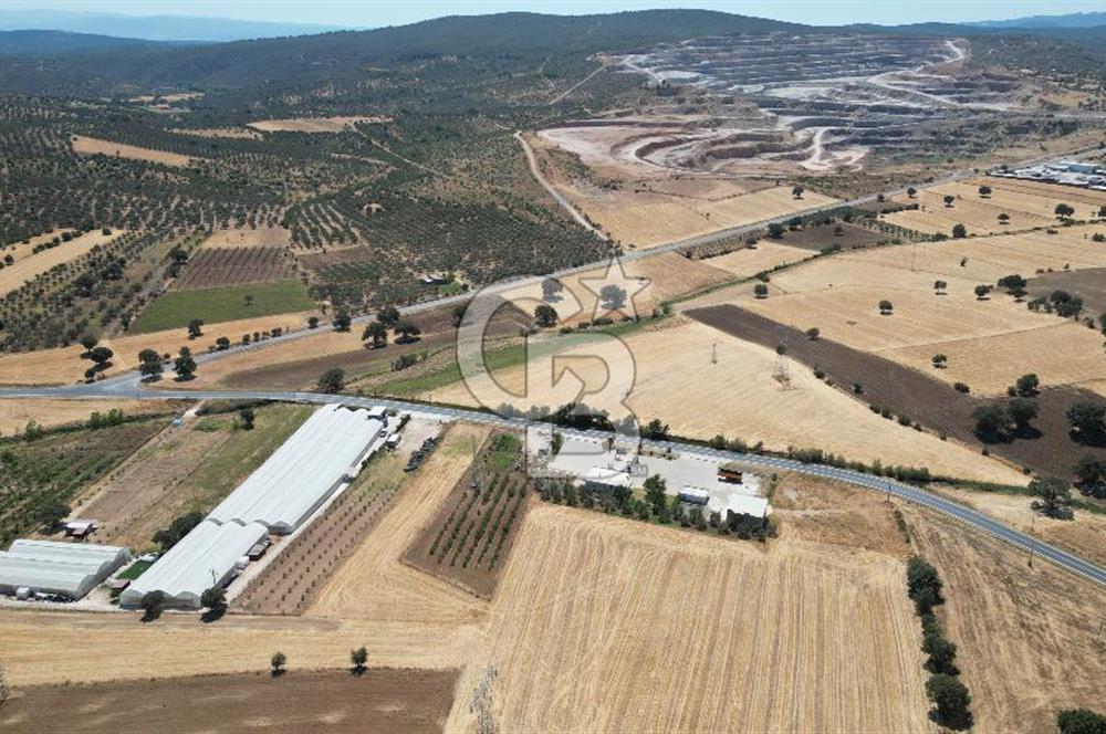 Çanakkale Ezine Mahmudiye Köyünde Asfalt Yol Cepheli Tarla