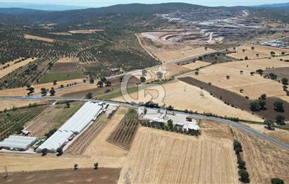 Çanakkale Ezine Mahmudiye Köyünde Asfalt Yol Cepheli Tarla