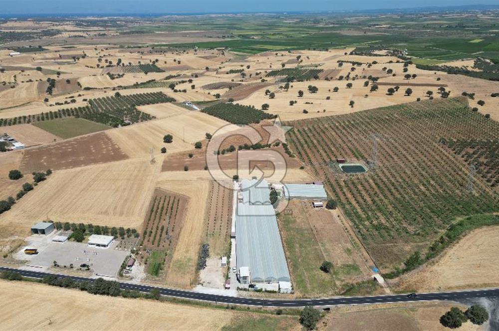 Çanakkale Ezine Mahmudiye Köyünde Asfalt Yol Cepheli Tarla