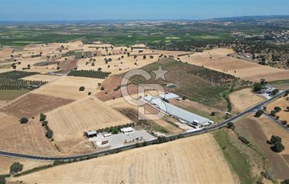 Çanakkale Ezine Mahmudiye Köyünde Asfalt Yol Cepheli Tarla