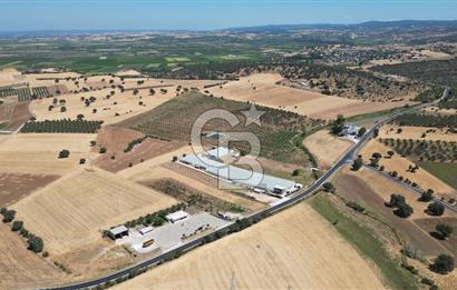 Çanakkale Ezine Mahmudiye Köyünde Asfalt Yol Cepheli Tarla