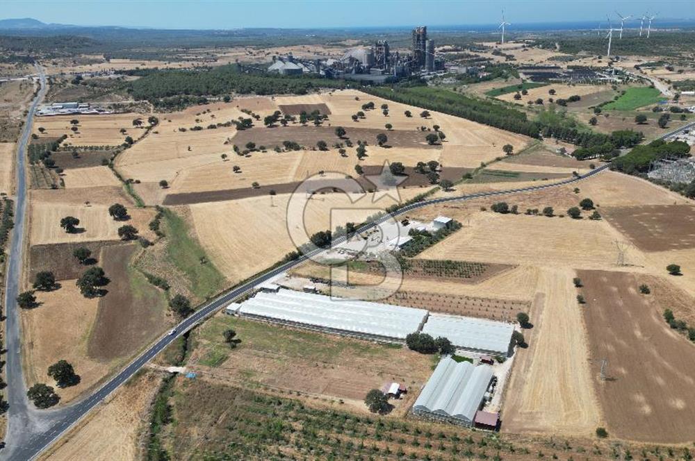 Çanakkale Ezine Mahmudiye Köyünde Asfalt Yol Cepheli Tarla