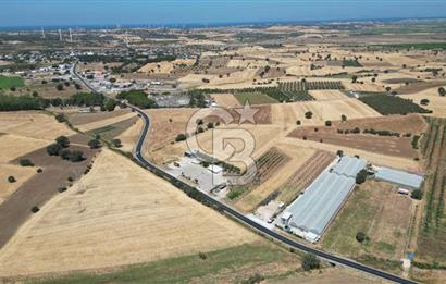 Çanakkale Ezine Mahmudiye Köyünde Asfalt Yol Cepheli Tarla