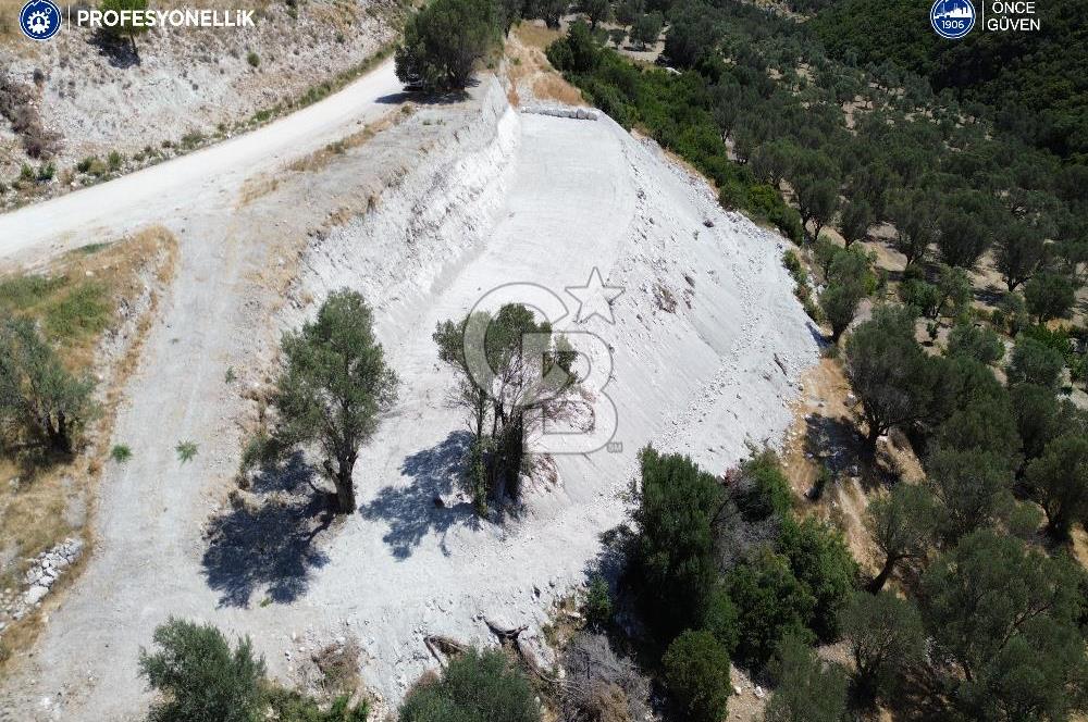 Karaburun Eğlenhoca'da 1901 m2 Yatırımlık Arazi