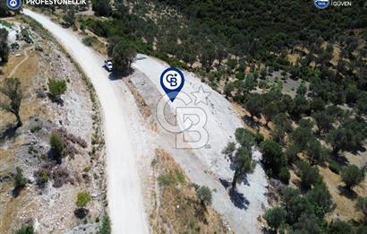 Karaburun Eğlenhoca'da 1901 m2 Yatırımlık Arazi