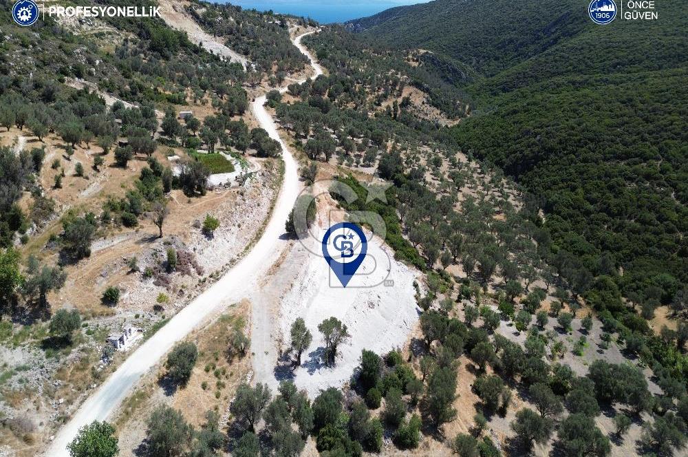 Karaburun Eğlenhoca'da 1901 m2 Yatırımlık Arazi