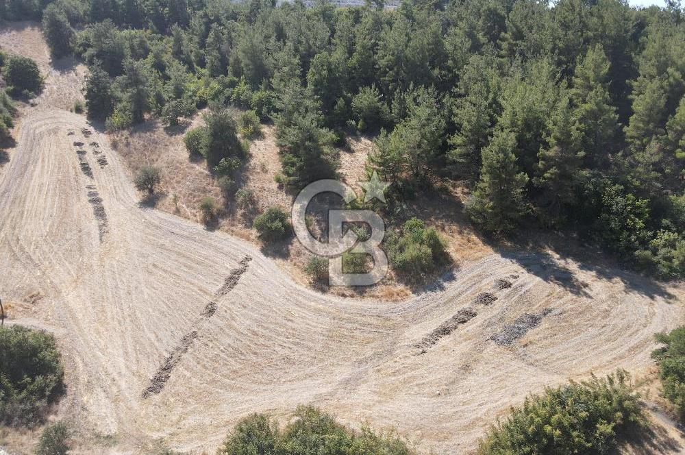 BALIKESİR BAHÇEDERE MH.'DE ŞAHANE KONUMDA 25.856 M² TARLA