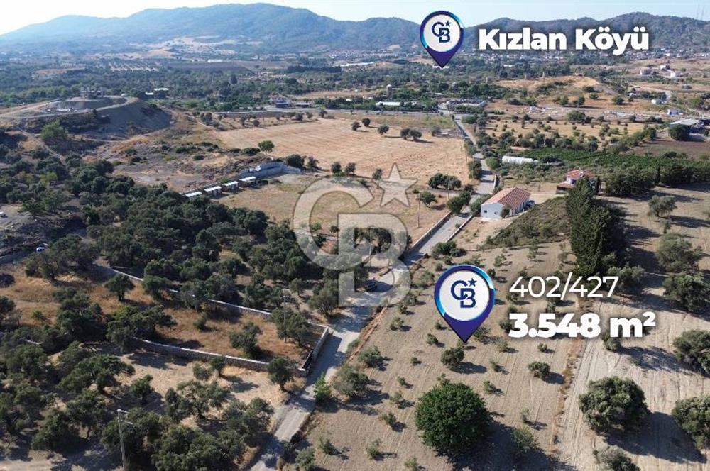 Datça/Kızlan- Satılık 3548m2 Deniz Manzaralı Zeytinli Tarla