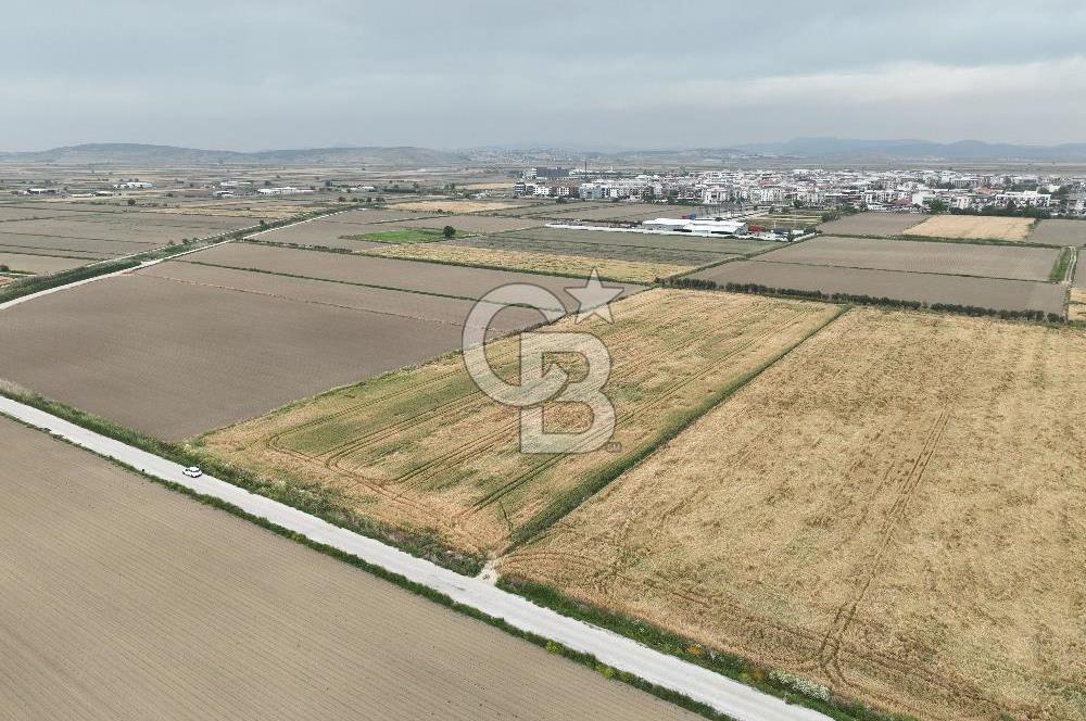 İzmir Menemen Seyrek' de kadastral yola cepheli SATILIK TARLA