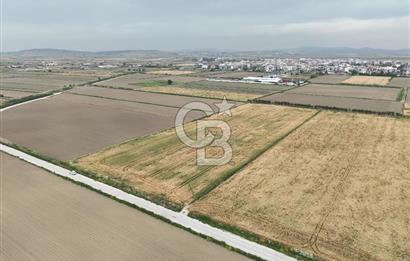 İzmir Menemen Seyrek' de kadastral yola cepheli SATILIK TARLA