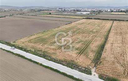 İzmir Menemen Seyrek' de kadastral yola cepheli SATILIK TARLA