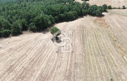 LAPSEKİ HACIGELENDE OTOYOL GÜZERGAHINDA ASFALT YOLA YAKIN TARLA