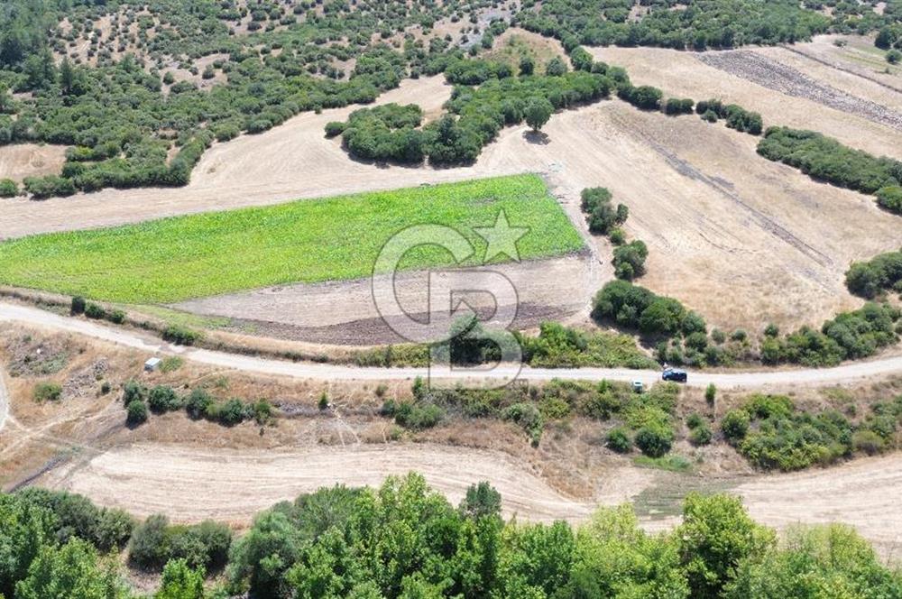 LAPSEKİ BALCILARDA KADASTRAL YOLU & SUYU OLAN TARLA