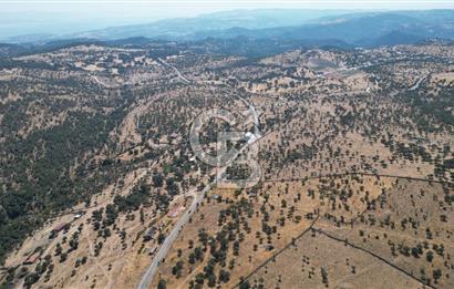 ÇANAKKALE AYVACIK İLYASFAKI KÖYÜ'NDE MANİCİ ÇİFLİK'E KOMŞU TARLA