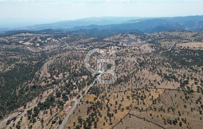 ÇANAKKALE AYVACIK İLYASFAKI KÖYÜ'NDE MANİCİ ÇİFLİK'E KOMŞU TARLA