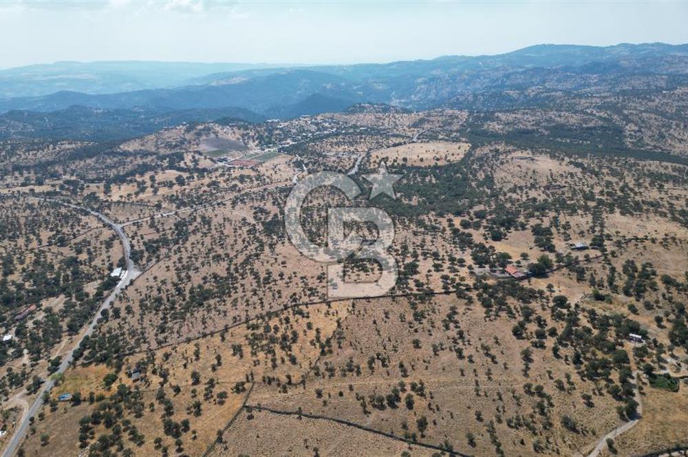 ÇANAKKALE AYVACIK İLYASFAKI KÖYÜ'NDE MANİCİ ÇİFLİK'E KOMŞU TARLA