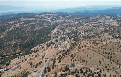 ÇANAKKALE AYVACIK İLYASFAKI KÖYÜ'NDE MANİCİ ÇİFLİK'E KOMŞU TARLA