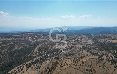 ÇANAKKALE AYVACIK İLYASFAKI KÖYÜ'NDE MANİCİ ÇİFLİK'E KOMŞU TARLA