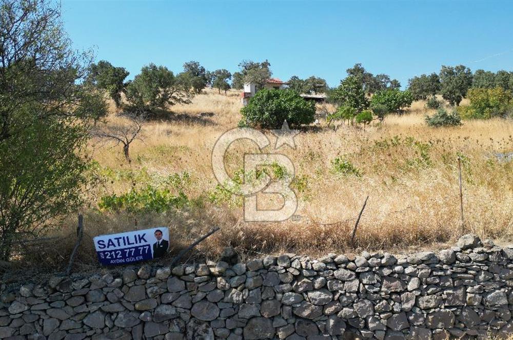 ÇANAKKALE AYVACIK İLYASFAKI KÖYÜ'NDE MANİCİ ÇİFLİK'E KOMŞU TARLA